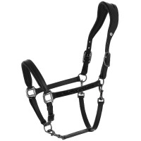 Norton Anatomisches Halfter Crystal Schwarz