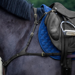 Anatomisches Martingal Dy'on D Kollektion Schwarz