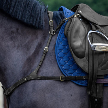 Anatomisches Martingal Dy'on D Kollektion Schwarz