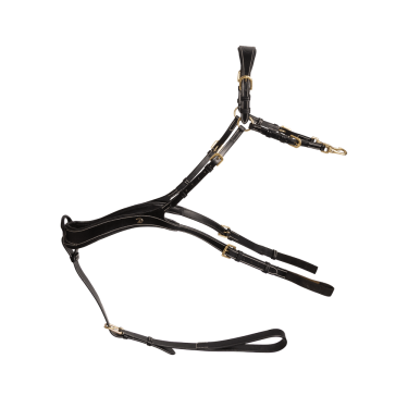 Anatomisches Martingal Dy'on D Kollektion Schwarz