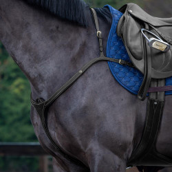 Brustblatt mit Martingal Dy'on D Collection Schwarz