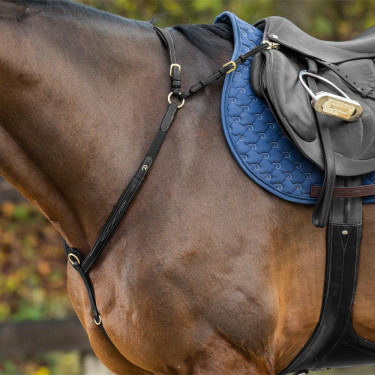 Brustblatt mit Dy'on Brücke D Kollektion Brustblatt mit Dy'on Brücke D Kollektion