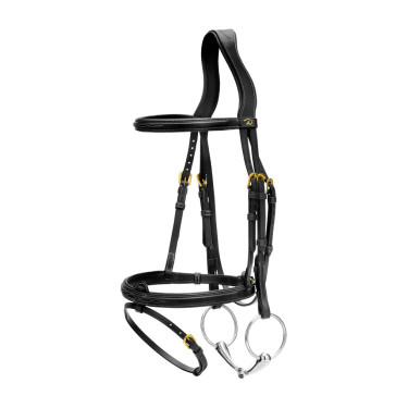 Reithalfter Kombiniertes Nasenband Dy'on D Kollektion Schwarz