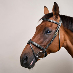 Reithalfter Kombiniertes Nasenband Dy'on D Kollektion Schwarz