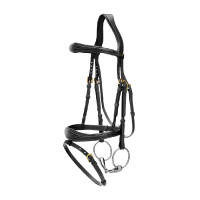 Kombinierter anatomischer Reithalfter-Zaum Dy'on D Collection Schwarz