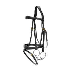 Kombinierter anatomischer Reithalfter-Zaum Dy'on D Collection Schwarz