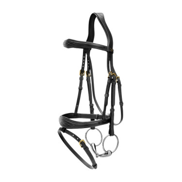 Kombinierter anatomischer Reithalfter-Zaum Dy'on D Collection Schwarz