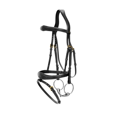 Kombinierter anatomischer Reithalfter-Zaum Dy'on D Collection Schwarz