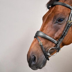 Kombinierter anatomischer Reithalfter-Zaum Dy'on D Collection Schwarz