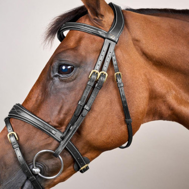 Kombinierter anatomischer Reithalfter-Zaum Dy'on D Collection Schwarz