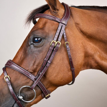 Kombinierter anatomischer Reithalfter-Zaum Dy'on D Collection Braun