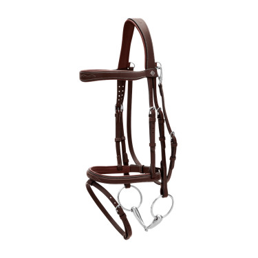 Kombiniertes Reithalfter mit Karabiner Dy'on Working Braun Kombiniertes Reithalfter mit Karabiner Dy'on Working Braun