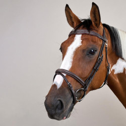 Kombiniertes Reithalfter mit Karabiner Dy'on Working Braun