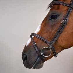 Kombiniertes Reithalfter mit Karabiner Dy'on Working Braun