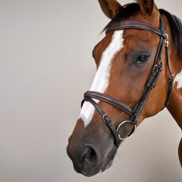 Kombiniertes Reithalfter mit Karabiner Dy'on Working Braun