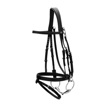 Plattes Lederzaumzeug mit Karabinern Working by Dy'on Schwarz