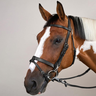 Plattes Lederzaumzeug mit Karabinern Working by Dy'on Schwarz