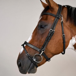 Plattes Lederzaumzeug mit Karabinern Working by Dy'on Schwarz
