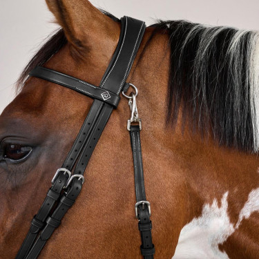 Plattes Lederzaumzeug mit Karabinern Working by Dy'on Schwarz