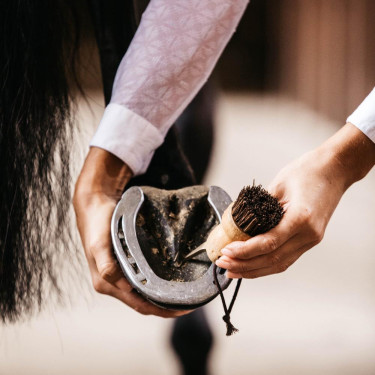 Kleiner Hufkratzer Kentucky Braun