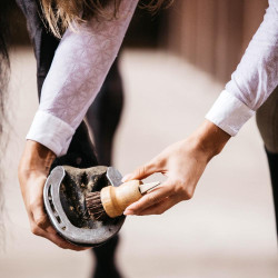 Kleiner Hufkratzer Kentucky Braun