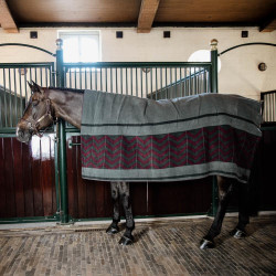 Trockendecke Square Heavy Fishbone Kentucky Bordeaux