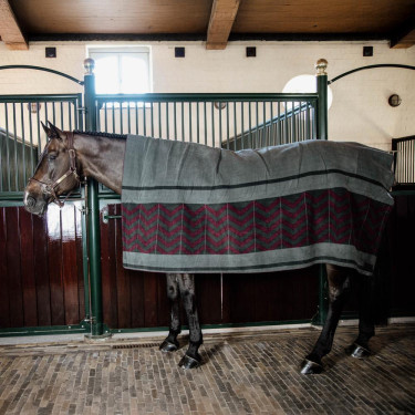 Trockendecke Square Heavy Fishbone Kentucky Bordeaux