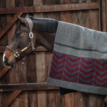 Trockendecke Square Heavy Fishbone Kentucky Bordeaux