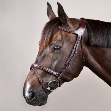 Trense Différence New English Collection by Dy'on Braun Trense Différence New English Collection by Dy'on Braun