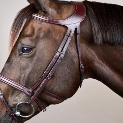 Trense Différence New English Collection by Dy'on Braun Trense Différence New English Collection by Dy'on Braun