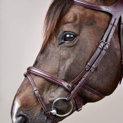 Trense Différence New English Collection by Dy'on Braun Trense Différence New English Collection by Dy'on Braun