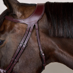 Trense Différence New English Collection by Dy'on Braun Trense Différence New English Collection by Dy'on Braun