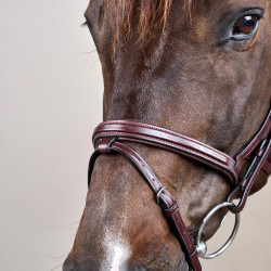 Trense Différence New English Collection by Dy'on Braun Trense Différence New English Collection by Dy'on Braun