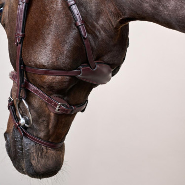 Trense Différence New English Collection by Dy'on Braun Trense Différence New English Collection by Dy'on Braun