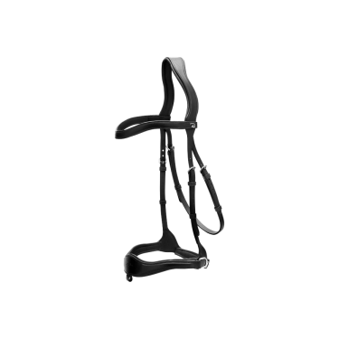 Trense D Motion New English Collection by Dy'on Schwarz