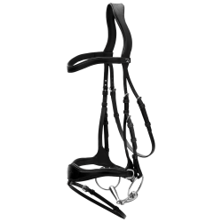 Trense D Motion New English Collection by Dy'on Schwarz