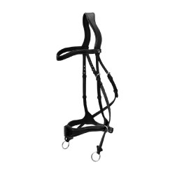 Trense D Motion New English Collection by Dy'on Schwarz Trense D Motion New English Collection by Dy'on Schwarz