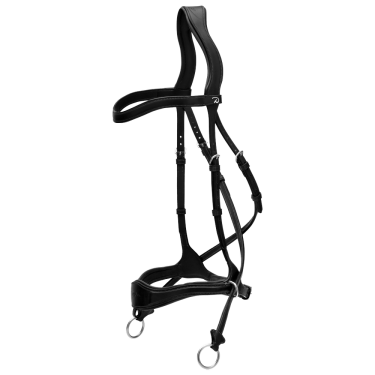 Trense D Motion New English Collection by Dy'on Schwarz