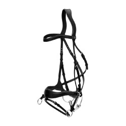 Trense D Motion New English Collection by Dy'on Schwarz Trense D Motion New English Collection by Dy'on Schwarz