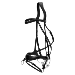 Trense D Motion New English Collection by Dy'on Schwarz