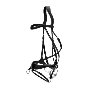 Trense D Motion New English Collection by Dy'on Schwarz Trense D Motion New English Collection by Dy'on Schwarz