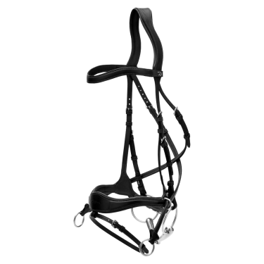 Trense D Motion New English Collection by Dy'on Schwarz