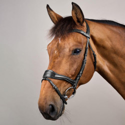 Trense D Motion New English Collection by Dy'on Schwarz