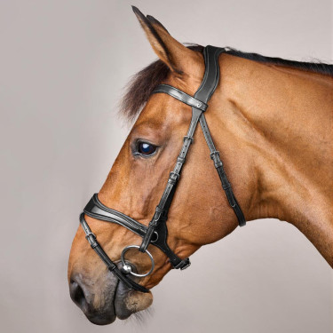 Trense D Motion New English Collection by Dy'on Schwarz