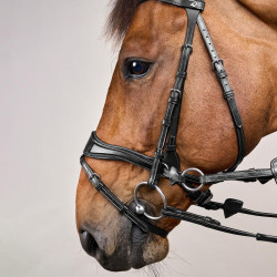 Trense D Motion New English Collection by Dy'on Schwarz