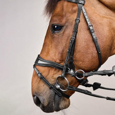 Trense D Motion New English Collection by Dy'on Schwarz