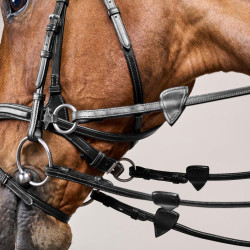 Trense D Motion New English Collection by Dy'on Schwarz