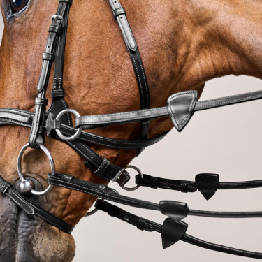 Trense D Motion New English Collection by Dy'on Schwarz