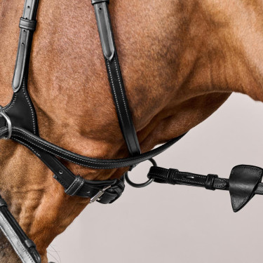 Trense D Motion New English Collection by Dy'on Schwarz