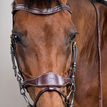 Trense D Motion D Collection by Dy'on Braun Trense D Motion D Collection by Dy'on Braun